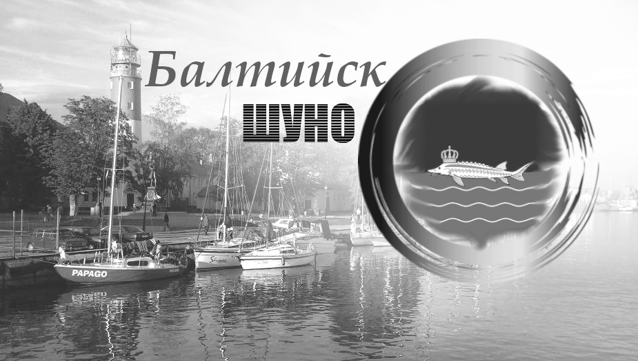 Шкафы управления наружным освещением в г.Балтийск